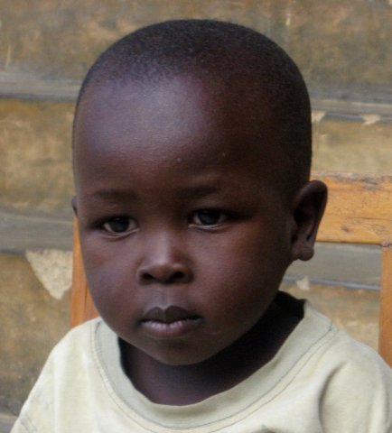 08silvestambokamu2010